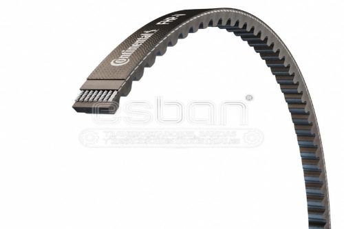 banda dentada 2compri